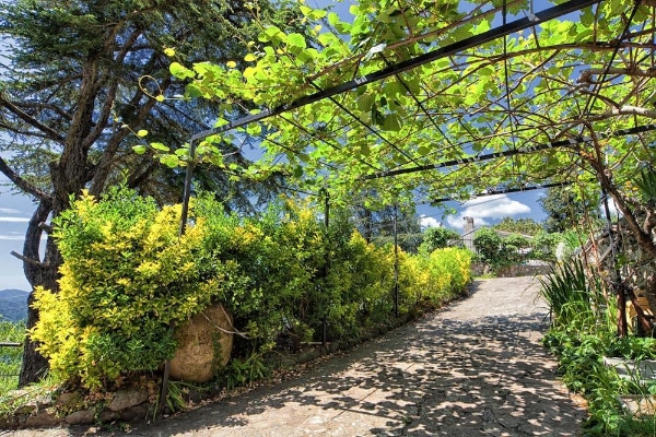 Hotel Oasi Verde
